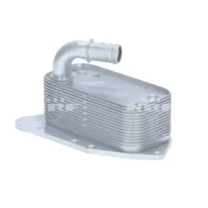 Rabat Chłodnica oleju NRF 31340 55577343