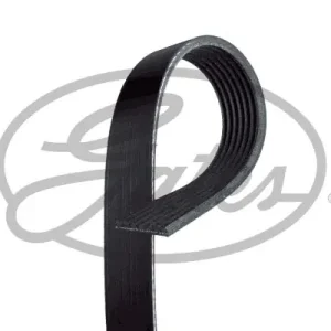 Bezpieczne zakupy Pasek wielorowkowy GATES 7PK1055