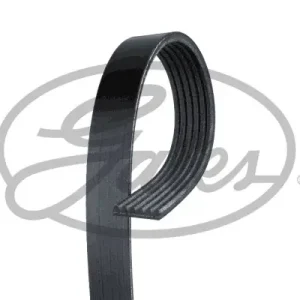 Bestseller Pasek wielorowkowy GATES 6PK903XS